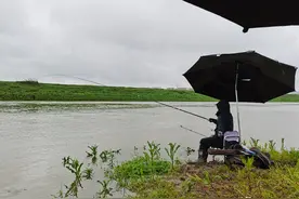 雨天钓鱼危机四伏，这四点注意事项，钓鱼人一定要知道图片