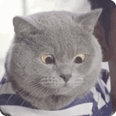 微粒贷人工客服电话（微粒贷可以“内部渠道”强行开通）