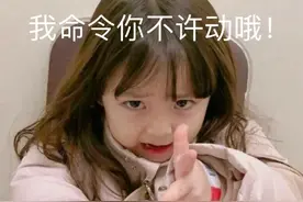 表情包 |  我命令你不许动哦！图片