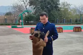 领犬员要走了，看到狗狗狂追1000多米也不停下：怕舍不得图片