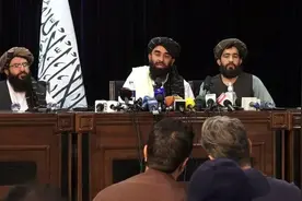 小马苏德不经打图片