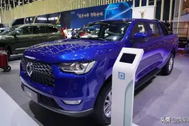 柴油发动机+手动变速箱+四驱，长城炮商用版售9.78万元图片