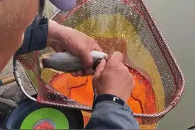 野钓还被人打闭口？惹不起还躲不起，听我一句劝“溜吧”图片