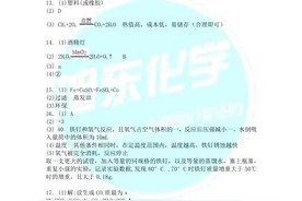 你们需要的2020年安徽省中考化学参考答案，它来了图片