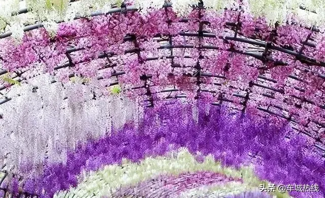 ��Ʊ����ͣ�ʮ�������ˮʥ�طŴ��У��ſ�ˮĻ��Ӱ���λñ�����