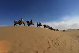 我是风(十年旧作)图片
