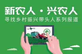 江南丫头，果业木兰：90后广州水果创业者方晓霞图片