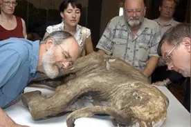 国外一名科学家为获得长生，注射350万年前的猛犸细菌，结果如何图片