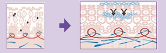 花青素鱼胶原蛋白肽的功效与作用 2026年花青素鱼胶原蛋白肽对人体有什