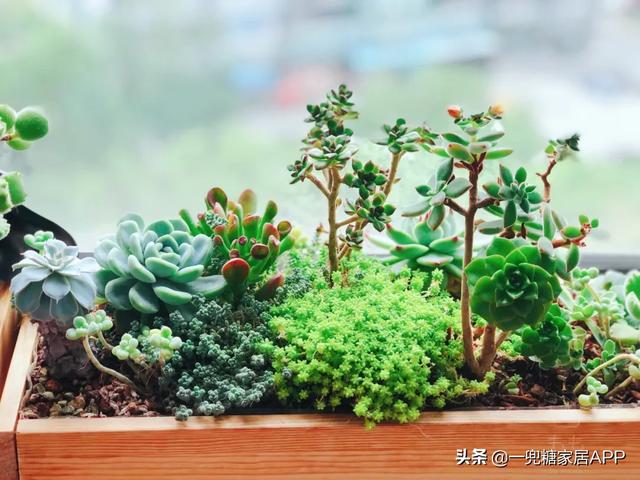 废料还能玩出这么多花样?看,又双叒丢掉不止一个亿吧