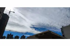 很多网友说自己是第一次做人！你真的是第一次做人吗？图片