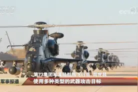 闽南海域这场突击看点多！武直机群对海突防，老兵直-9WA也出马图片
