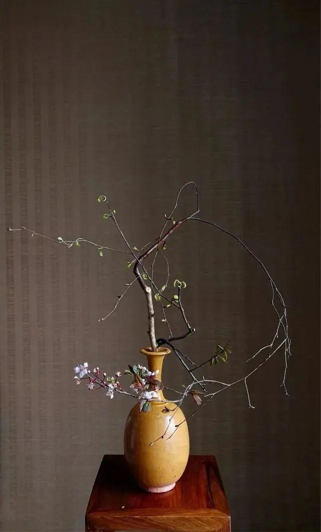 东方美学的代表,瓶花