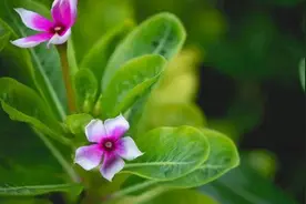 宣城郎溪国庆节前发了一次性奖励2.78万元，年底前还要发放考核奖图片