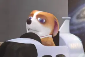 飞狗MOCO的小伙伴：你 好 胖 啊图片