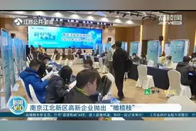 南京江北新区抛出“橄榄枝”：最高年薪100万，5千人应聘400多岗位图片