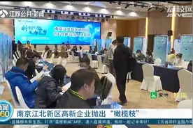 南京江北新区抛出“橄榄枝”：最高年薪100万，5千人应聘400多岗位图片