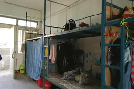 在深圳打工的日子，打工者：蚊香加辣椒灭臭虫，希望今晚可以睡着图片