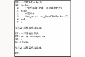 「赵强老师」什么是PL/SQL？图片