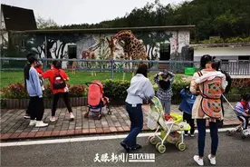贵州这家4A级动物园不免门票引质疑，真相到底是什么？图片