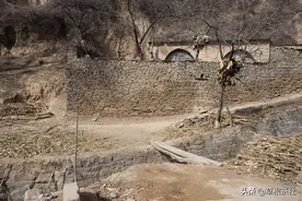 知青往事：返京知青游走在城乡之间，她心里的苦谁能懂图片