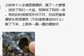 注意！多处水域出现这种大个螺蛳！千万别吃！严重可致痴呆！甚至死亡图片