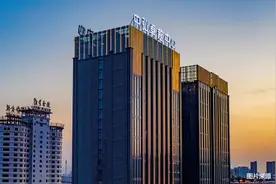 资产再被拍卖 回不来的中弘图片