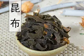 中药古今研究：昆布（海带）图片