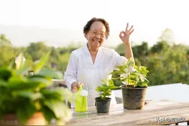 59岁退休女人直言：我想找老伴，对方不用有房有钱，但有3个要求图片