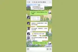 当代男/女大学生宿舍群都在聊什么？（多聊天截图）图片