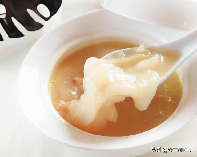 取花胶 2026年取花胶的是什么鱼