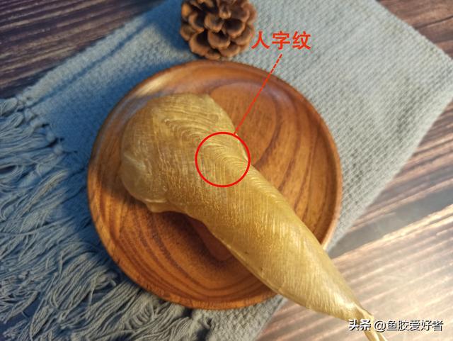 白花胶的炖汤方法 白花胶的炖汤方法窍门