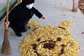 高手在民间，日本老师用树叶摆出各种动漫角色图片