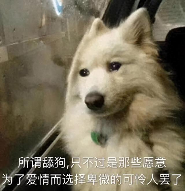 浦发银行visa信用卡申请，浦发几个月首提 配图01