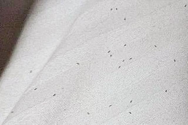 宝宝身上起像鸡皮疙瘩还痒