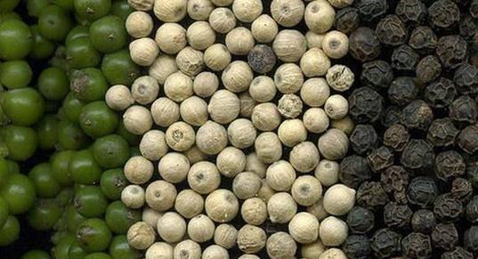 白胡椒粉主要做什么菜（弄懂后你也转身变大厨）