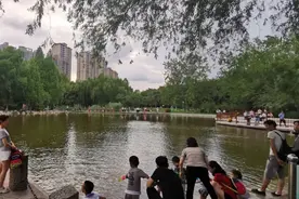 这里上新后，杨凌更有“味儿”了！图片