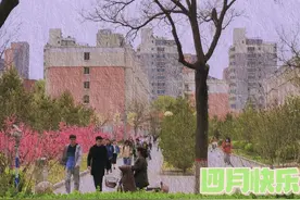 拟录取也苦恼？一顿考研猛如虎，说起导师怂成鼠图片