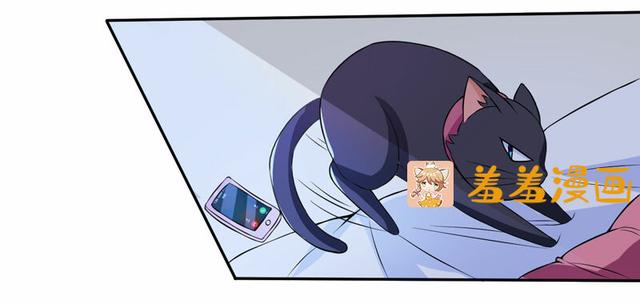 夜路走多了，竟捡到宝，带着巨钻的小黑猫一只