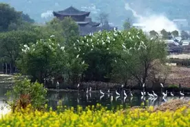 腾冲旅游攻略：这5站最常规的线路 你可知道？图片