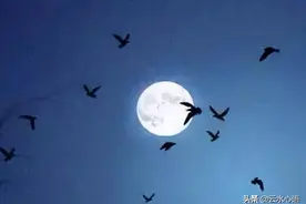 杨万里别出心裁的绝句，采用通感手法，给人一种神奇的艺术享受图片