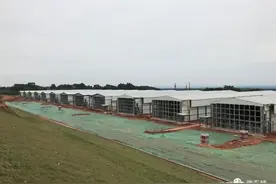 全力推进！正大300万只蛋鸡种养循环产业园项目力争今年11月底建成投产图片