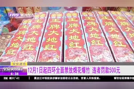 禁燃令！12月1日起四环全面禁放烟花爆竹，公务员违反将受处分视频封面