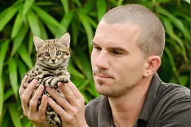 被全世界禁养！非洲最小的猫，猫科捕猎效率最高的“杀戮机器”图片