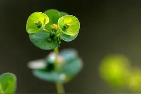 70后的最大悲哀，就是拼尽全力，却用“潦草”进入余生，是你吗？图片