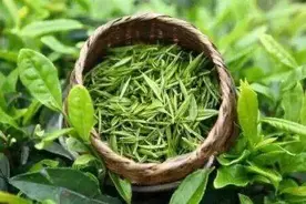 《四篇短文，几十年以后再读，仍然感动你我》图片