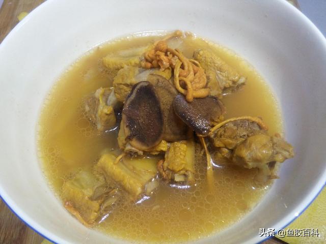 花胶可以炖鹿茸吗 2026年花胶可以炖鹿茸吗百度百科