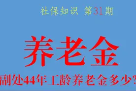 实例分享：45年工龄的副处级退休后有多少养老金？图片