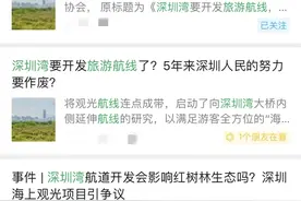 新建码头，深圳湾要开发旅游航道？市民忧心：10万候鸟咋办！部门紧急回应图片