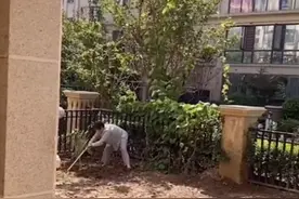 安徽一男子几年没回家，豪宅成邻居菜园，进门还被警告别踩到菜图片